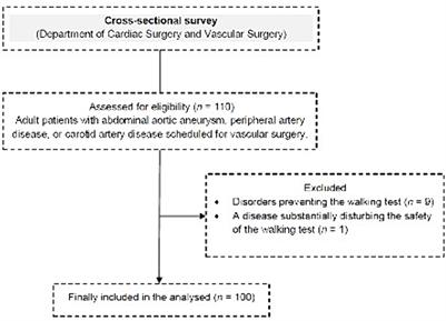 Timed Up and Go test score and factors associated with a moderate-to-high risk of future falls in patients scheduled for vascular surgeries—a cross-sectional study